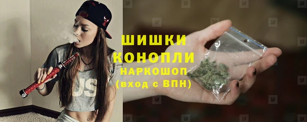 прущие грибы Михайловка