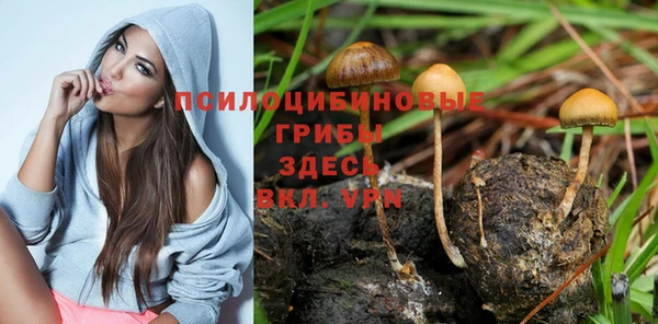 jwh Михайловск