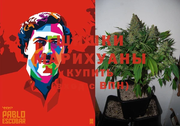 прущие грибы Михайловка