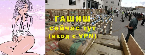 прущие грибы Михайловка