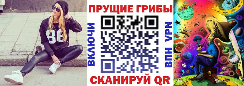 blacksprut вход  Покачи  Псилоцибиновые грибы мухоморы 